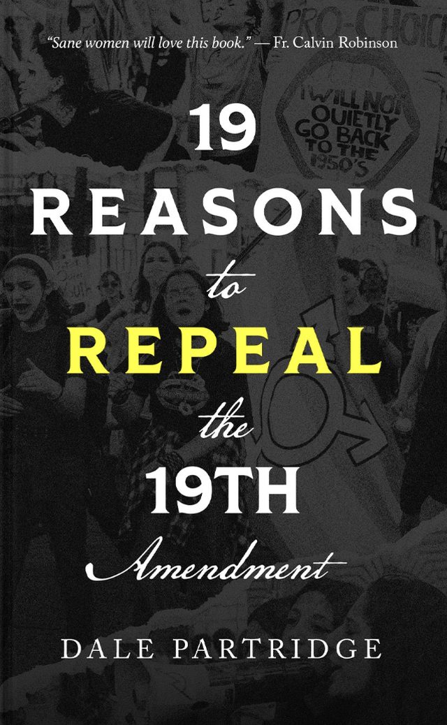 19 Reasons to Repeal the 19th Amendment cover